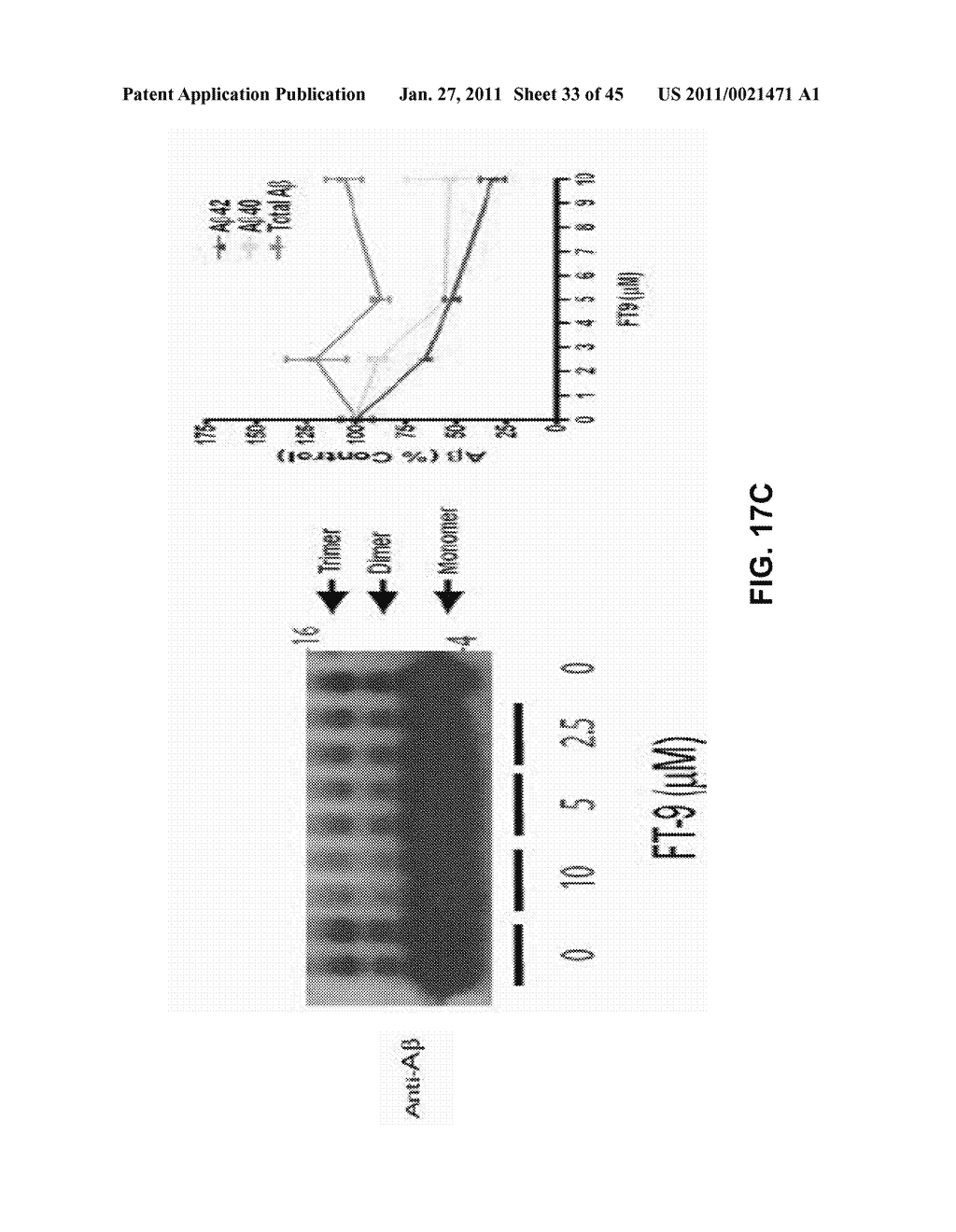 REDUCING Abeta42 LEVELS AND Abeta AGGREGATION - diagram, schematic, and image 34