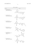 P70S6 Kinase Modulators and Method of Use diagram and image