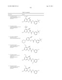 P70S6 Kinase Modulators and Method of Use diagram and image