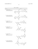 P70S6 Kinase Modulators and Method of Use diagram and image