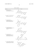 P70S6 Kinase Modulators and Method of Use diagram and image