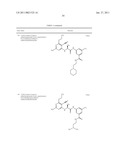 P70S6 Kinase Modulators and Method of Use diagram and image