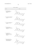 P70S6 Kinase Modulators and Method of Use diagram and image