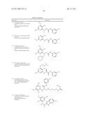 P70S6 Kinase Modulators and Method of Use diagram and image