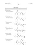 P70S6 Kinase Modulators and Method of Use diagram and image