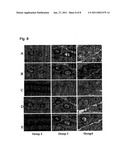 PERITONEUM PROTECTING AGENT diagram and image