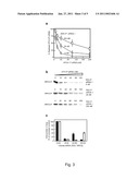 RNAi Modulation of RSV, PIV and Other Respiratory Viruses and Uses Thereof diagram and image