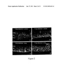 METHODS OF TREATING FIBROTIC DISORDERS diagram and image