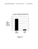 METHODS OF TREATING FIBROTIC DISORDERS diagram and image