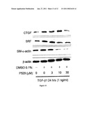 METHODS OF TREATING FIBROTIC DISORDERS diagram and image