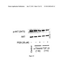 METHODS OF TREATING FIBROTIC DISORDERS diagram and image