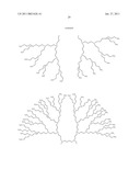 ENCAPSULATION OF VITAMIN C INTO WATER SOLUBLE DENDRIMERS diagram and image