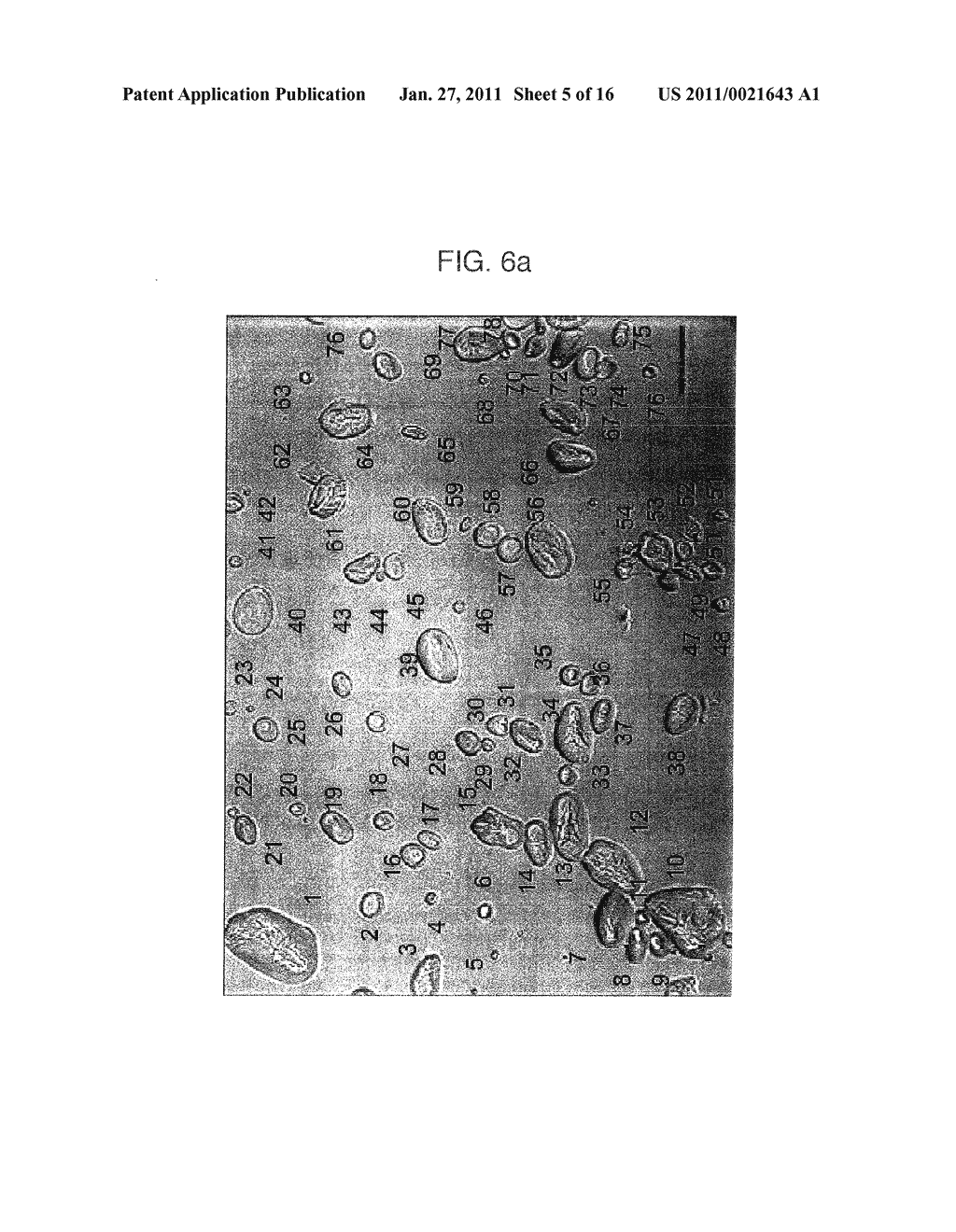 PROCESSED STARCH POWDER WITH EXCELLENT DISINTEGRATION PROPERTIES AND MANUFACTURING METHOD THEREOF - diagram, schematic, and image 06