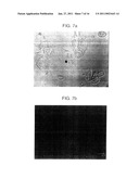 PROCESSED STARCH POWDER WITH EXCELLENT DISINTEGRATION PROPERTIES AND MANUFACTURING METHOD THEREOF diagram and image