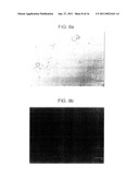 PROCESSED STARCH POWDER WITH EXCELLENT DISINTEGRATION PROPERTIES AND MANUFACTURING METHOD THEREOF diagram and image