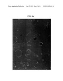 PROCESSED STARCH POWDER WITH EXCELLENT DISINTEGRATION PROPERTIES AND MANUFACTURING METHOD THEREOF diagram and image