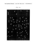 PROCESSED STARCH POWDER WITH EXCELLENT DISINTEGRATION PROPERTIES AND MANUFACTURING METHOD THEREOF diagram and image