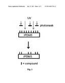  LIGHT SENSITIVE INITIATOR INTEGRATED POLYDIMETHYLSILOXANE diagram and image