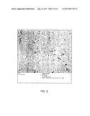 ULTRA-SMALL CHITOSAN NANOPARTICLES USEFUL AS BIOIMAGING AGENTS AND METHODS OF MAKING SAME diagram and image