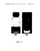 ULTRA-SMALL CHITOSAN NANOPARTICLES USEFUL AS BIOIMAGING AGENTS AND METHODS OF MAKING SAME diagram and image