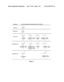 PRODUCING BIOFUELS USING POLYKETIDE SYNTHASES diagram and image