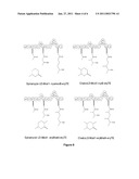 PRODUCING BIOFUELS USING POLYKETIDE SYNTHASES diagram and image