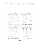 PRODUCING BIOFUELS USING POLYKETIDE SYNTHASES diagram and image