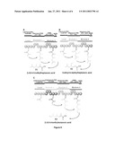 PRODUCING BIOFUELS USING POLYKETIDE SYNTHASES diagram and image