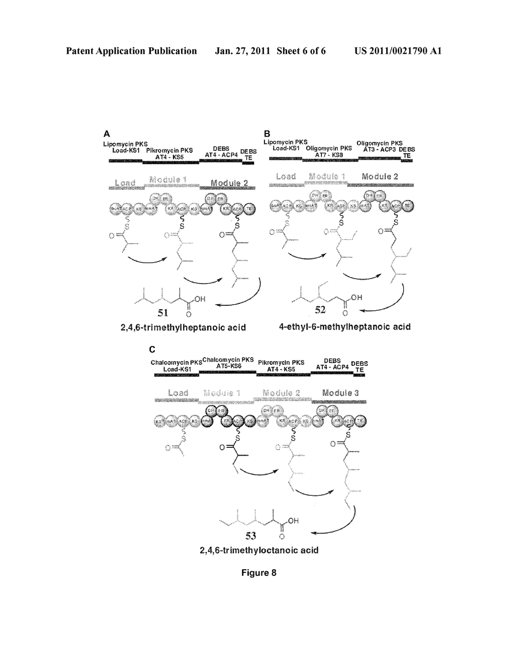 PRODUCING BIOFUELS USING POLYKETIDE SYNTHASES - diagram, schematic, and image 07