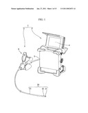 ENDOSCOPE APPARATUS AND MEASUREMENT METHOD diagram and image