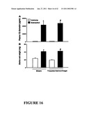 Methods And Compositions For Treating Trauma-Hemorrhage Using Estrogen And Derivatives Thereof diagram and image