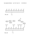 Medical Devices Having an Inorganic Coating Layer Formed by Atomic Layer Deposition diagram and image