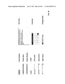 System and method of conclusively verifying the correctness of an information system without needing to test every combination of behaviour at run-time diagram and image