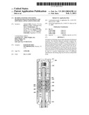 BEARING SYSTEMS CONTAINING DIAMOND ENHANCED MATERIALS AND DOWNHOLE APPLICATIONS FOR SAME diagram and image