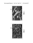 BEARING SYSTEMS CONTAINING DIAMOND ENHANCED MATERIALS AND DOWNHOLE APPLICATIONS FOR SAME diagram and image