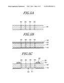 HOLDING MEMBER FOR USE IN TEST AND METHOD FOR MANUFACTURING SAME diagram and image