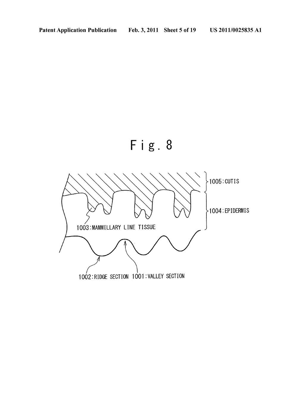 Apparatus for Inputing Biometrical Feature - diagram, schematic, and image 06