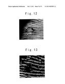 Apparatus for Inputing Biometrical Feature diagram and image