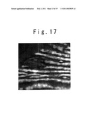 Apparatus for Inputing Biometrical Feature diagram and image