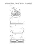 LIGHTING APPARATUS USING LIGHT EMITTING DIODE diagram and image