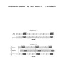 Method and Apparatus For Packer Communications in Wireless Systems diagram and image