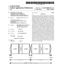 DMR PRIVATE NETWORK COMMUNICATION TERMINAL, COMMUNICATION SYSTEM, AND IMPLEMENTATION METHOD THEREOF diagram and image