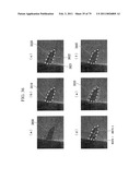 IMAGE PROCESSING APPARATUS AND IMAGE PROCESSING METHOD diagram and image