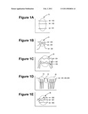 Rapid image categorization diagram and image