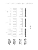 OPTICAL SIGNAL TRANSMITTER AND METHOD FOR CONTROLLING POLARIZATION MULTIPLEXED OPTICAL SIGNAL diagram and image