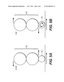 ELECTROGRAPHIC IMAGE DEVELOPING APPARATUS AND PROCESS diagram and image