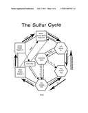 Carbon sequestration method diagram and image