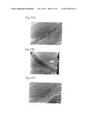 Hollow nanofibers-containing composition diagram and image