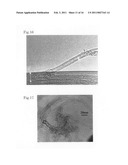 Hollow nanofibers-containing composition diagram and image