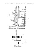 SUBSTANCE FOR OBTAINING HIGHLY EFFECTIVE TUMOR MEDICATIONS AS WELL AS A PROCESS diagram and image